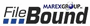 FileBound Logo and Website